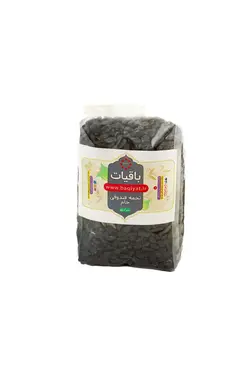 تخمه سقز فندقی شور