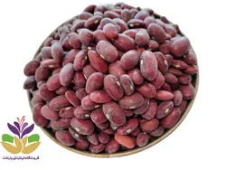 قیمت لوبیا قرمز کپسولی با وزن 250 و 500 گرمی و کیلو | بارنات