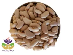 قیمت لوبیا سفید کشاورزی در وزن 250, 500 گرم و 1 کیلوگرم