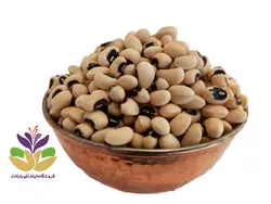 مشخصات، قیمت و خرید لوبیا چشم بلبلی تازه | فروشگاه بارنات
