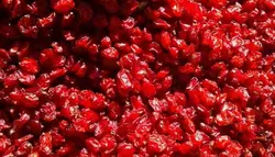 خواص دارویی زرشک | خرید زرشک تازه و با کیفیت | بارنات