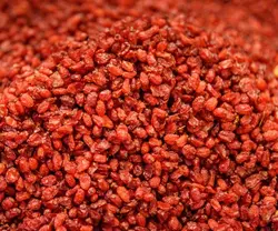 خواص دارویی زرشک | خرید زرشک تازه و با کیفیت | بارنات
