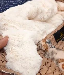 کاپشن پیزلی