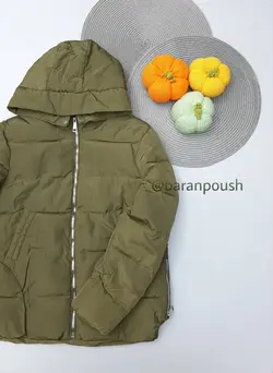 کاپشن جگوارد