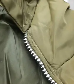 کاپشن جگوارد