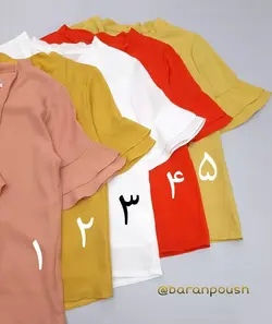 شومیز مائده