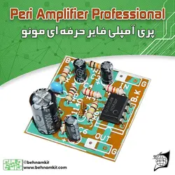 کیت پری آمپلیفایر مونو همه کاره، حرفه‌ای