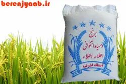 دمسیاه استخوانی گیلان