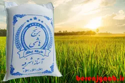 هاشمی آستانه