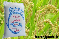 طارم هاشمی مازندران