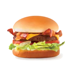 همبرگر مخصوص