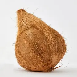 نارگیل دونه ای