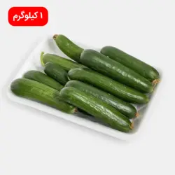 خیار گلخانه 1000 گرم