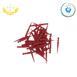 پین جت پیشرو سبز فیدار - Pinjet pishro sabz fidar - کافه دنتیست