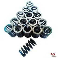 فنر سوپاپ TU5 هورنت