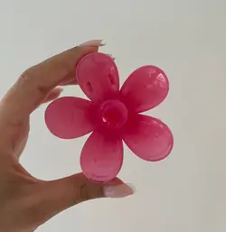 کلیپس گل بابونه