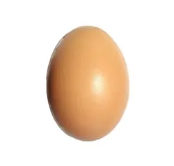 تخم مرغ محلی