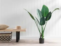 چک لیست گیاهان آپارتمانی چیست و چرا باید از آن استفاده کنید؟