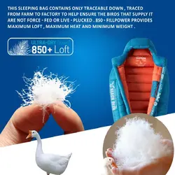 کیسه خواب پر بلک دیر / Black Deer - مدل Alpine 800 / آبی - فروشگاه کلیکمپ