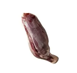 گل ماهیچه گوساله