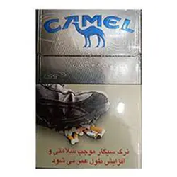 کمل کامپکت نقره اي