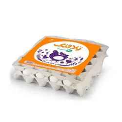 تخم مرغ تلاونگ شانه 20 عددي