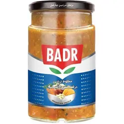 ترشي مخلوط در سس انبه بدر 630 گرمي