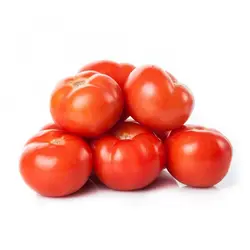 گوجه گلخانه ای