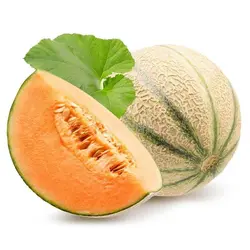 طالبي