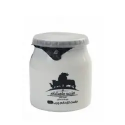 ماست کم چرب 500گ ماهشام