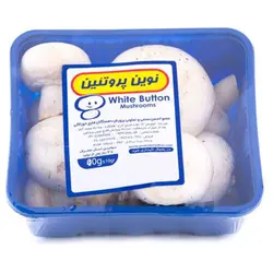 قارچ بزرگ نوين