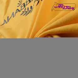 تیشرت اسپرت دخترانه با تنخور بسیار شیک و جذاب با قیمت و کیفیت بسیار عالی | پوشاک دارکوب