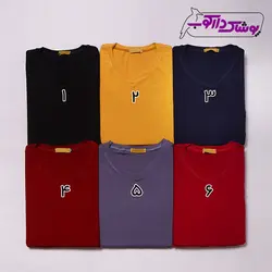 بلوز توری مجلسی زنانه با ارزان ترین قیمت و بهترین کیفیت | پوشاک دارکوب