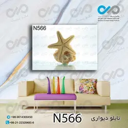 تابلو دیواری دکوپیک طبیعت با طرح ستاره دریایی و سنگ- کد-N566 مستطیل افقی