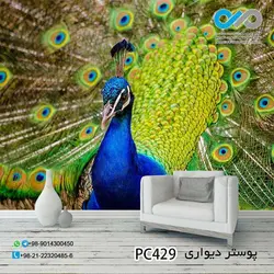 پوستر تصویری پذیرایی باتصویرطاووس نرآبی پرباز کد -PC429