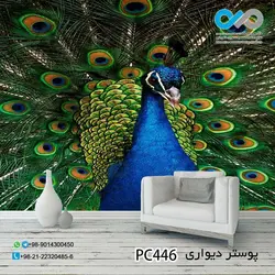 پوستر دیواری تصویری پذیرایی  -باتصویرطاووس نمای نزدیک -کد PC446