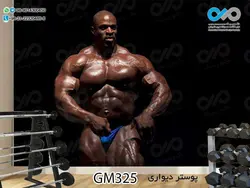 پوستر دیواری سه بعدی تصویری باشگاه بدنسازی تصویرفیگور بدنساز -کدGM325