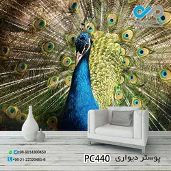 کاغذدیواری- تصویری پذیرایی -باتصویرطاووس آبی پرباز کرده-PC440
