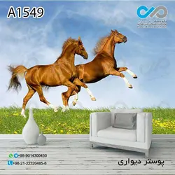 پوستر دیواری با طرح اسب زیبا در چمنزار کد A 1549