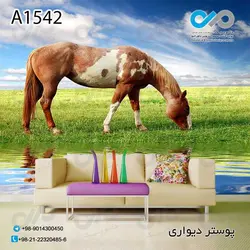 پوستر دیواری با طرح اسب زیبا در چمن کد A 1542