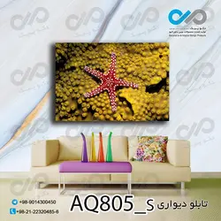 تابلو دیواری آکواریوم با تصویر ستاره دریای-کد AQ805_S