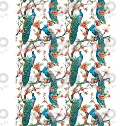 پرده زبرا - طرح نقاشی طاووس - کد Art-782