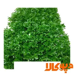 گیرین وال طرح گلپر