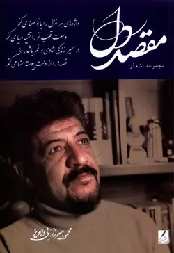 خرید کتاب مقصد دل اثر محمود میرزایی دلاویز نشر سخنوران