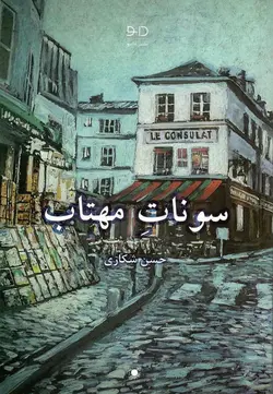 خرید کتاب سونات مهتاب اثر حسن شکاری نشر دانو