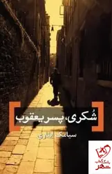خرید کتاب شکری پسر یعقوب اثر سیامک ایثاری از نشر برج