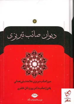 خرید کتاب دیوان صائب تبریزی (2 جلدی گالینگور) نشر نگاه