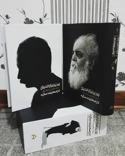 خرید کتاب پیر پرنیان اندیش (2 جلدی با قاب) درصحبت سایه از نشر سخن