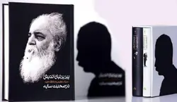 خرید کتاب پیر پرنیان اندیش (2 جلدی با قاب) درصحبت سایه از نشر سخن