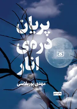 خرید کتاب پریان دره انار اثر مهدی پوربلاسی نشر قدیانی